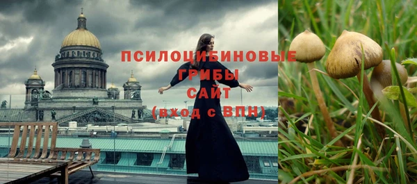 метамфетамин Щучье