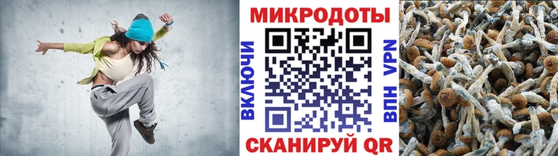 купить  сайты  Бирюч  Галлюциногенные грибы ЛСД 